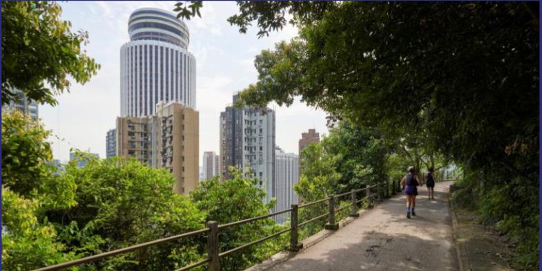 灣仔城市綠意及步行路徑